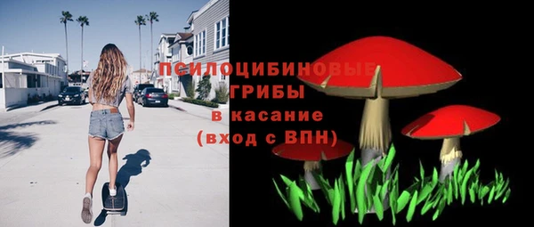 прущий лед Гусь-Хрустальный