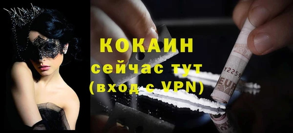 PSILOCYBIN Пересвет