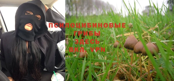 гидропоника Елабуга