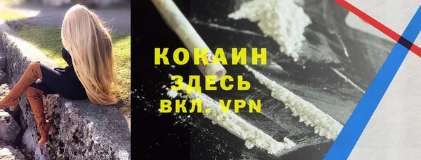 кокс Гусев