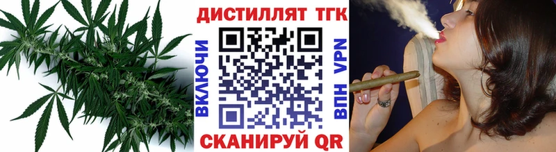 shop Telegram  где купить   Волхов  Дистиллят ТГК Wax 