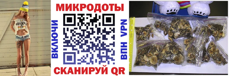 mega ссылки Волхов Галлюциногенные грибы мицелий