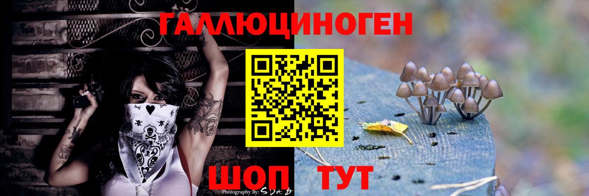 Галлюциногенные грибы ЛСД Волхов