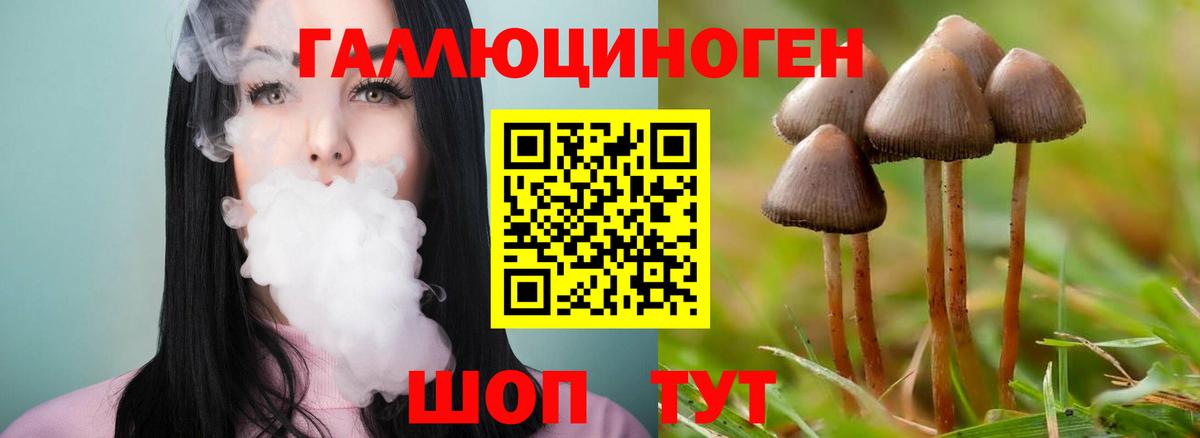 Волхов  где продают   Вход с VPN  Галлюциногенные грибы Psilocybine cubensis  Псилоцибиновые грибы мицелий 