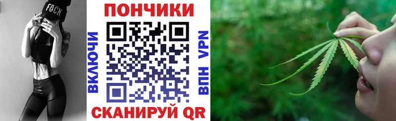 купить закладку  Волхов  Шишки марихуана семена 